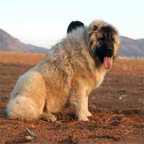 20221123190302_44357 20221123190302_44357