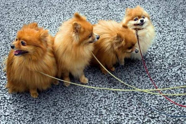 20221123190712_36067