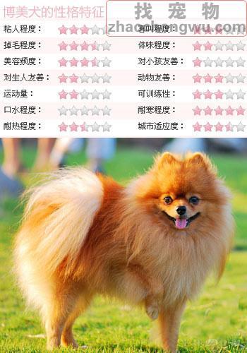 20221123190713_89176