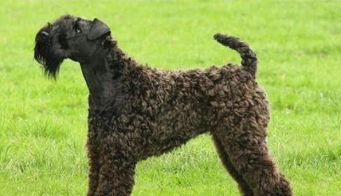 20221123191149_98395