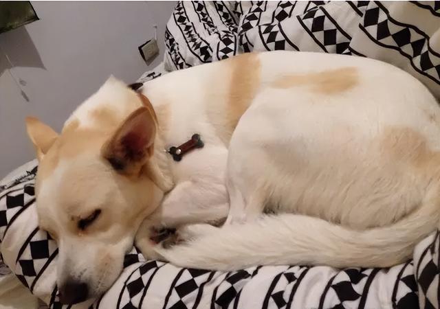 20221123192429_32415 20221123192429_32415