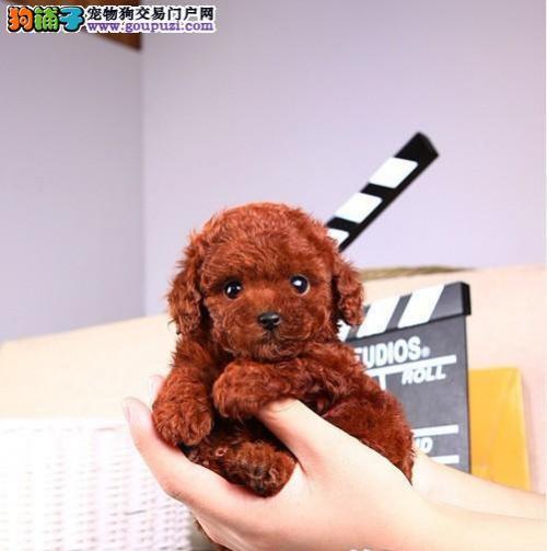 20221123192850_29502