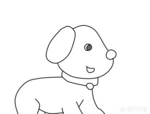 超萌的小狗怎么画？小狗的头怎么画-警犬训练器材厂家 _警犬训练用品_工作犬训练用品-南京开久警犬装备