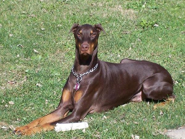 20221123194359_46939 20221123194359_46939