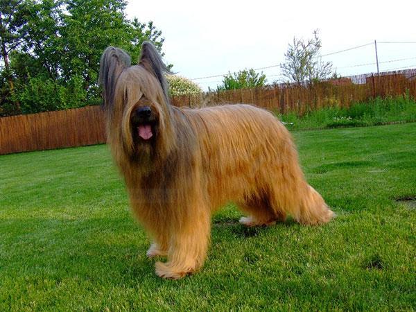 20221123194400_62736 20221123194400_62736