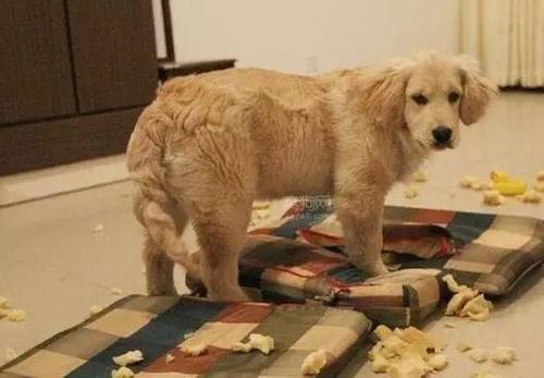 20221123202543_62450