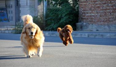 20221123202543_74287