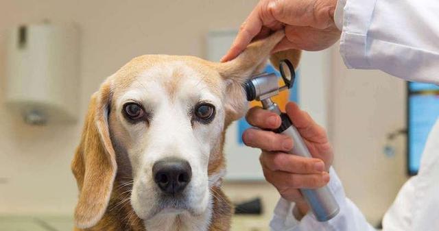 20221123202950_40163