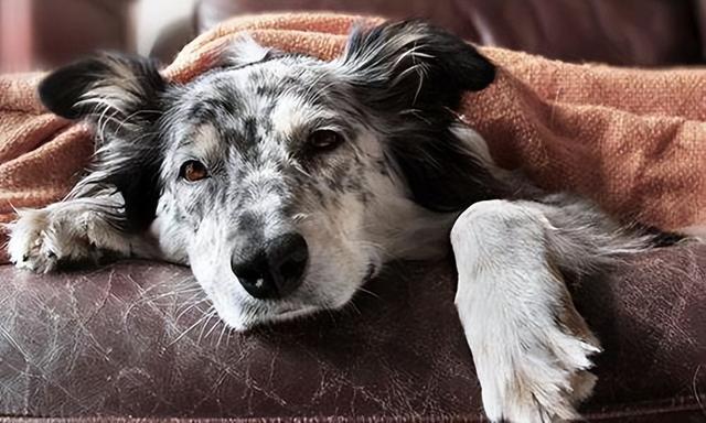 20221123202950_44821