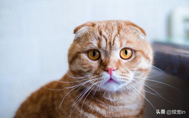 20221124083547_13114 20221124083547_13114