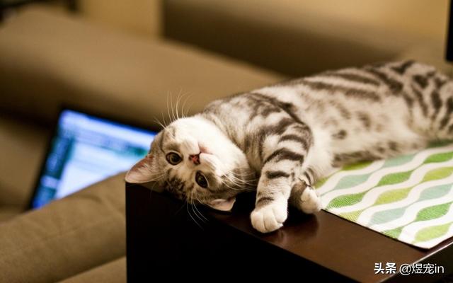 20221124083548_78068 20221124083548_78068