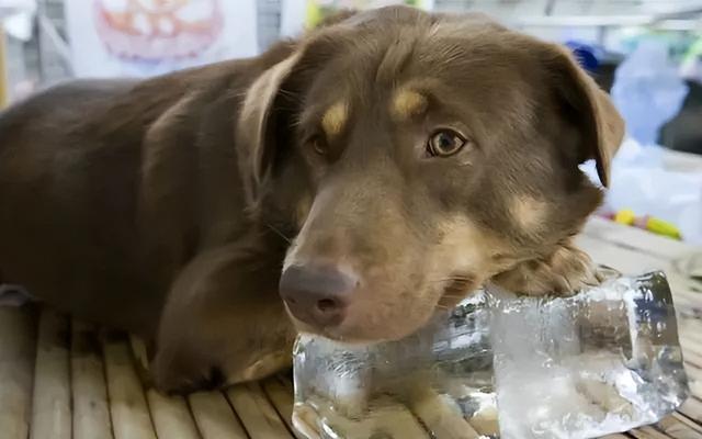 20221124090129_54998