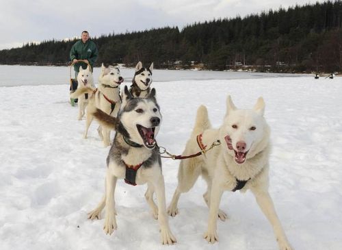 20221124091114_90199