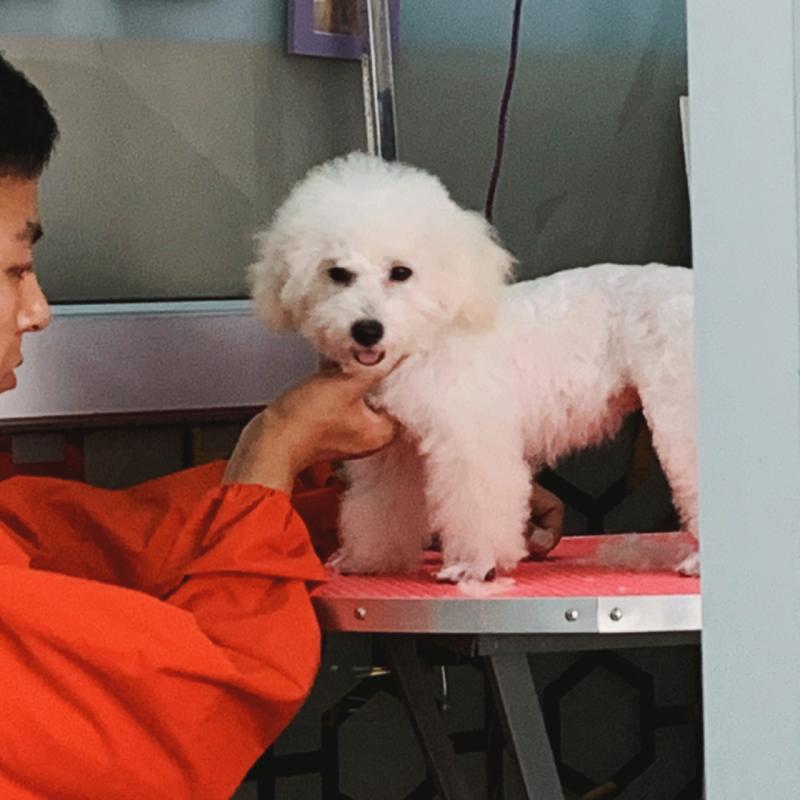 20221124091331_60876