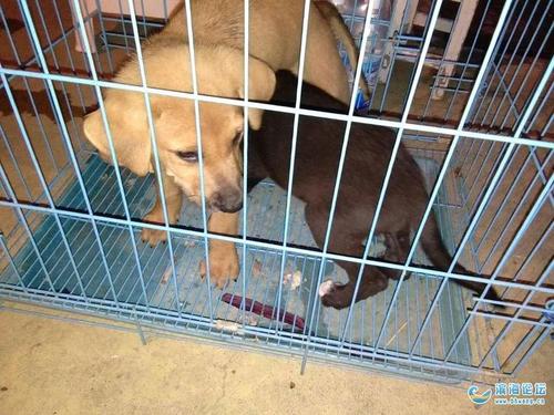 20221124092252_45052 20221124092252_45052