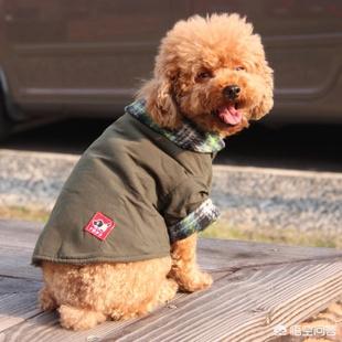 20221124092821_59317 20221124092821_59317