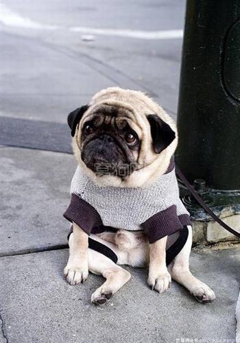 20221124093248_65288 20221124093248_65288