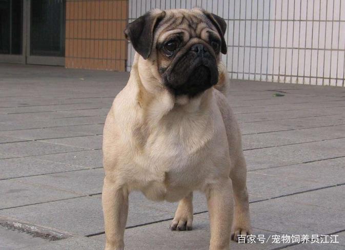 20221124093248_77071 20221124093248_77071