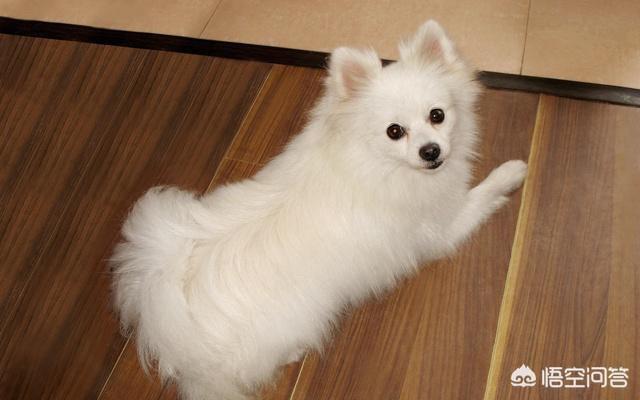 20221124095045_89676