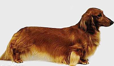 20221124100501_71736