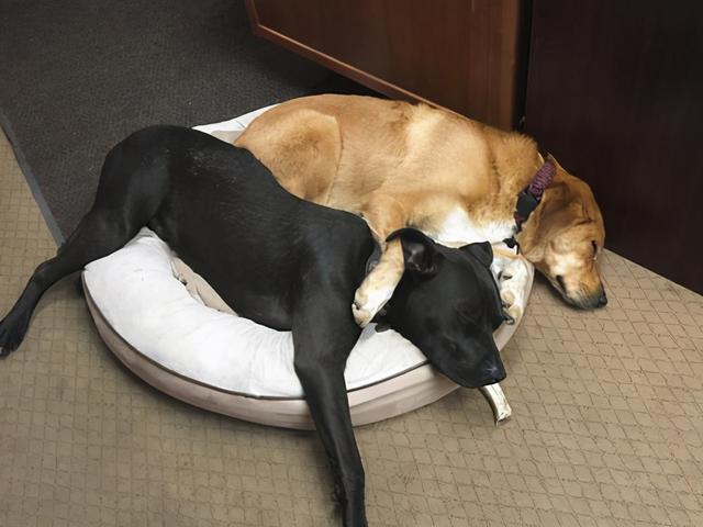 20221124114000_66351