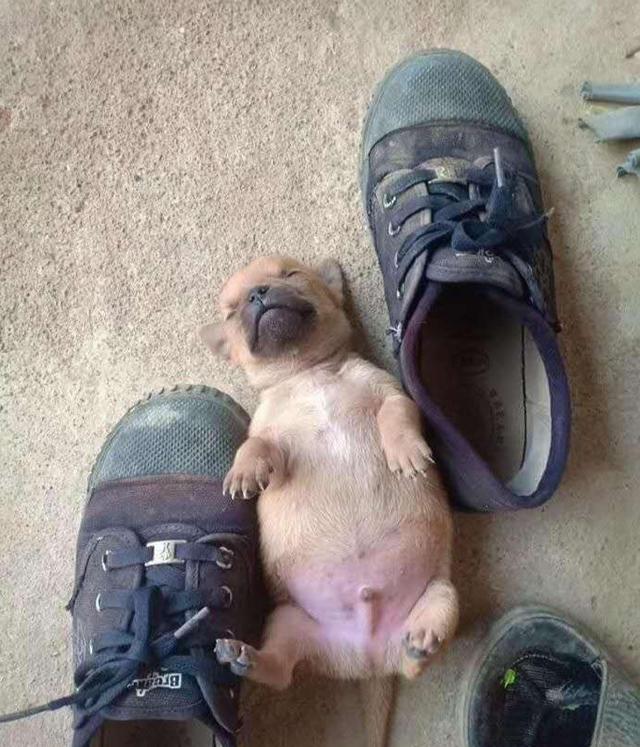 20221124114001_26419