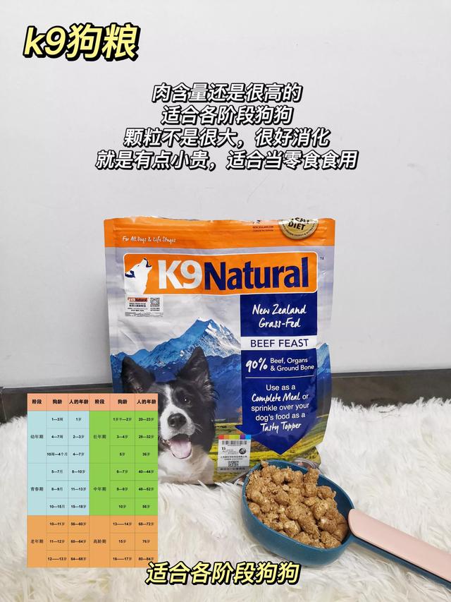 20221124114512_65307