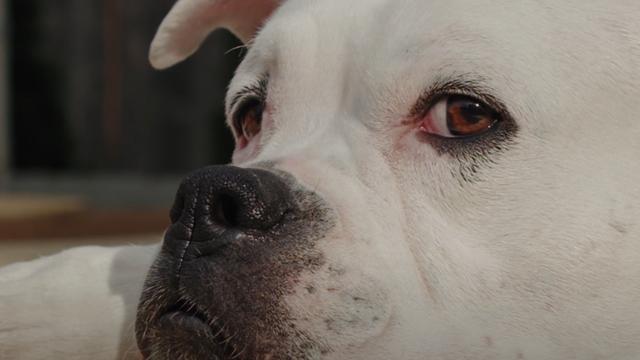 20221124115201_97929 20221124115201_97929