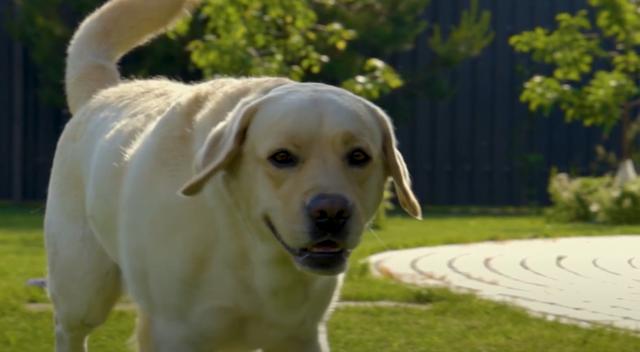 20221124115202_38293 20221124115202_38293