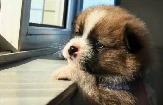 20221124115425_44154 20221124115425_44154