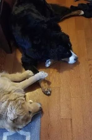 20221124115425_44742 20221124115425_44742