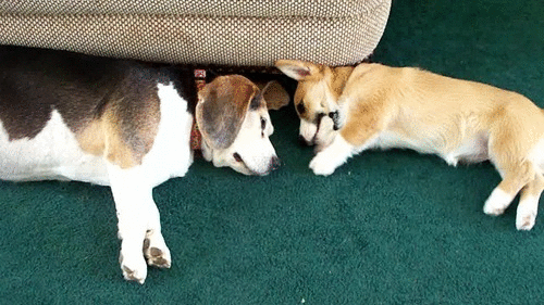 20221124115846_62238