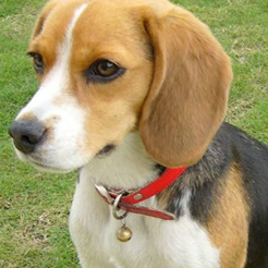 20221124121141_95627 20221124121141_95627