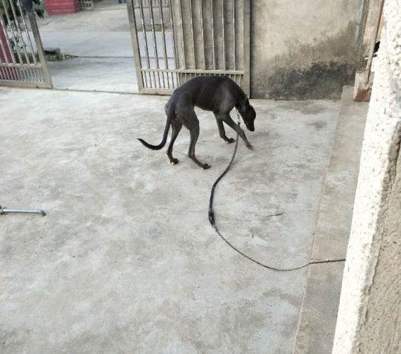 20221124121142_70679 20221124121142_70679