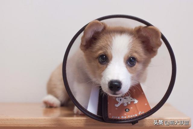 20221124123300_23979 20221124123300_23979