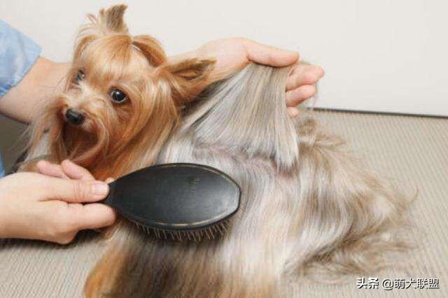 20221124123301_80556 20221124123301_80556