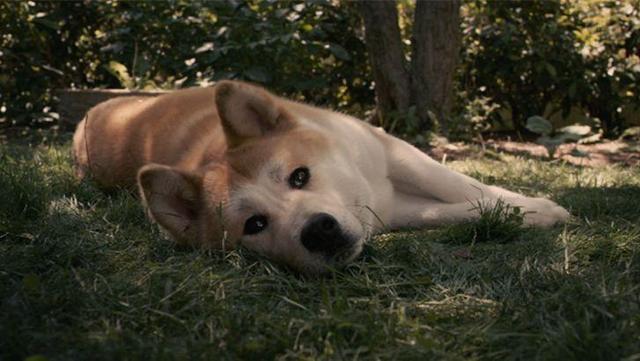 20221124135718_45981 20221124135718_45981