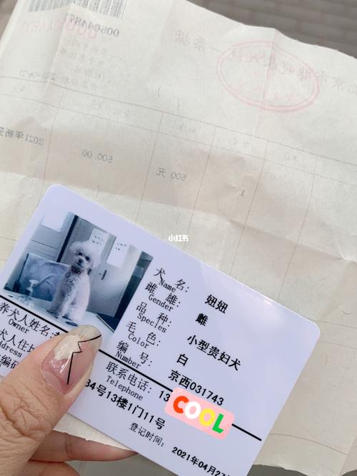 北京办狗证需要什么(北京办狗证需要什么资料2022) - 警犬训练器材厂家 _警犬训练用品_工作犬训练用品-南京开久警犬装备-警犬训练器材厂家 _警犬训练用品_工作犬训练用品-南京开久警犬装备