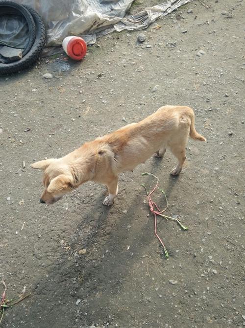 20221124143824_50791 20221124143824_50791