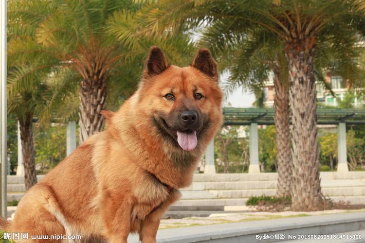 20221124143825_80627 20221124143825_80627