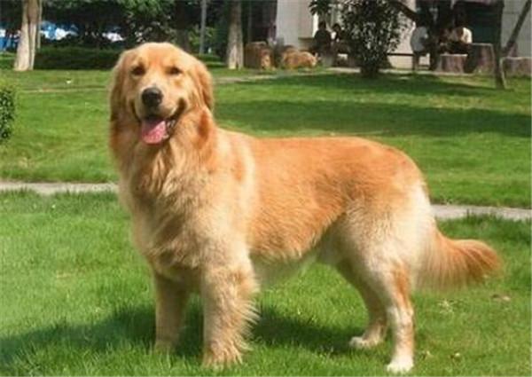 20221124144607_27011 20221124144607_27011