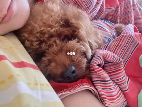 20221124144936_77852