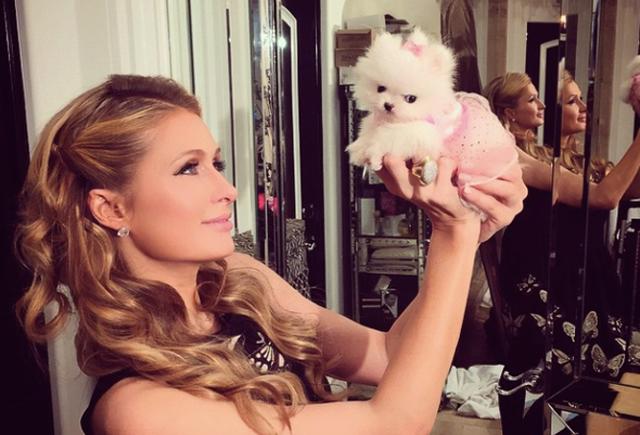 20221124145843_34249