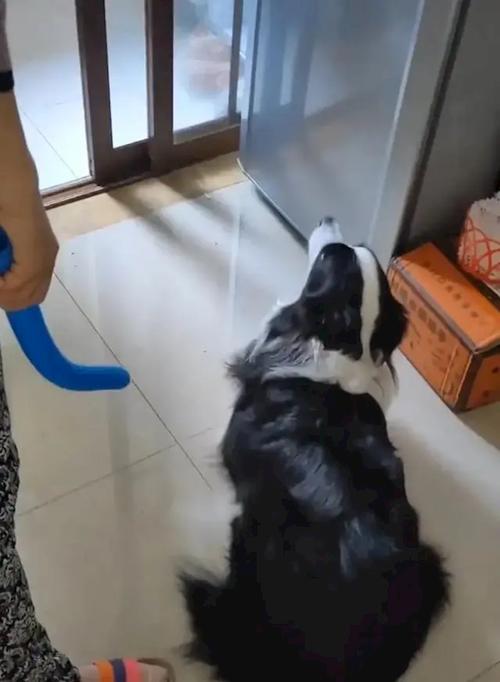 20221124150352_45022 20221124150352_45022