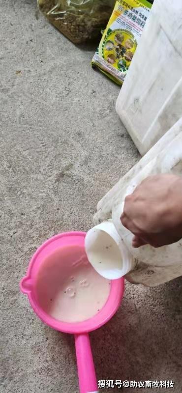 20221124150353_77534 20221124150353_77534