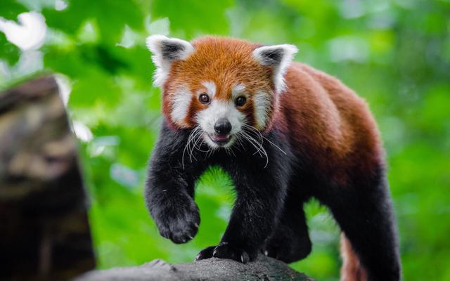 20221124150756_68852