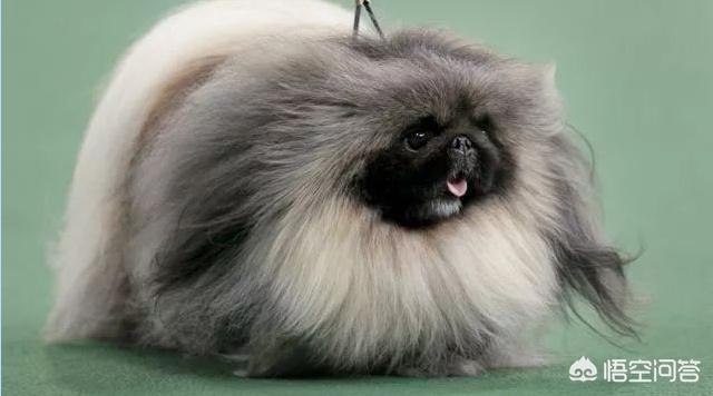 20221124151426_58363