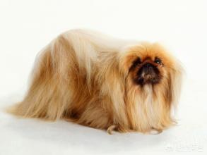 20221124151426_66646