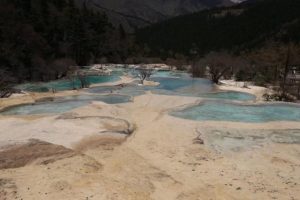 汶川地震搜救犬离世(汶川地震搜救犬的故事)-警犬训练器材厂家 _警犬训练用品_工作犬训练用品-南京开久警犬装备