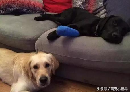 20221124152914_31644